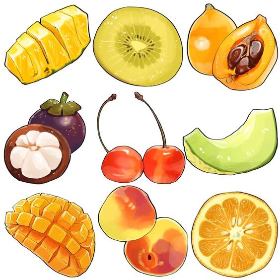 fruits illustration