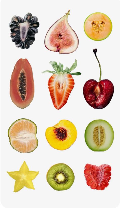 fruits illustration