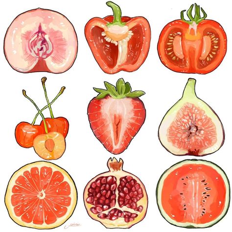 fruits illustration